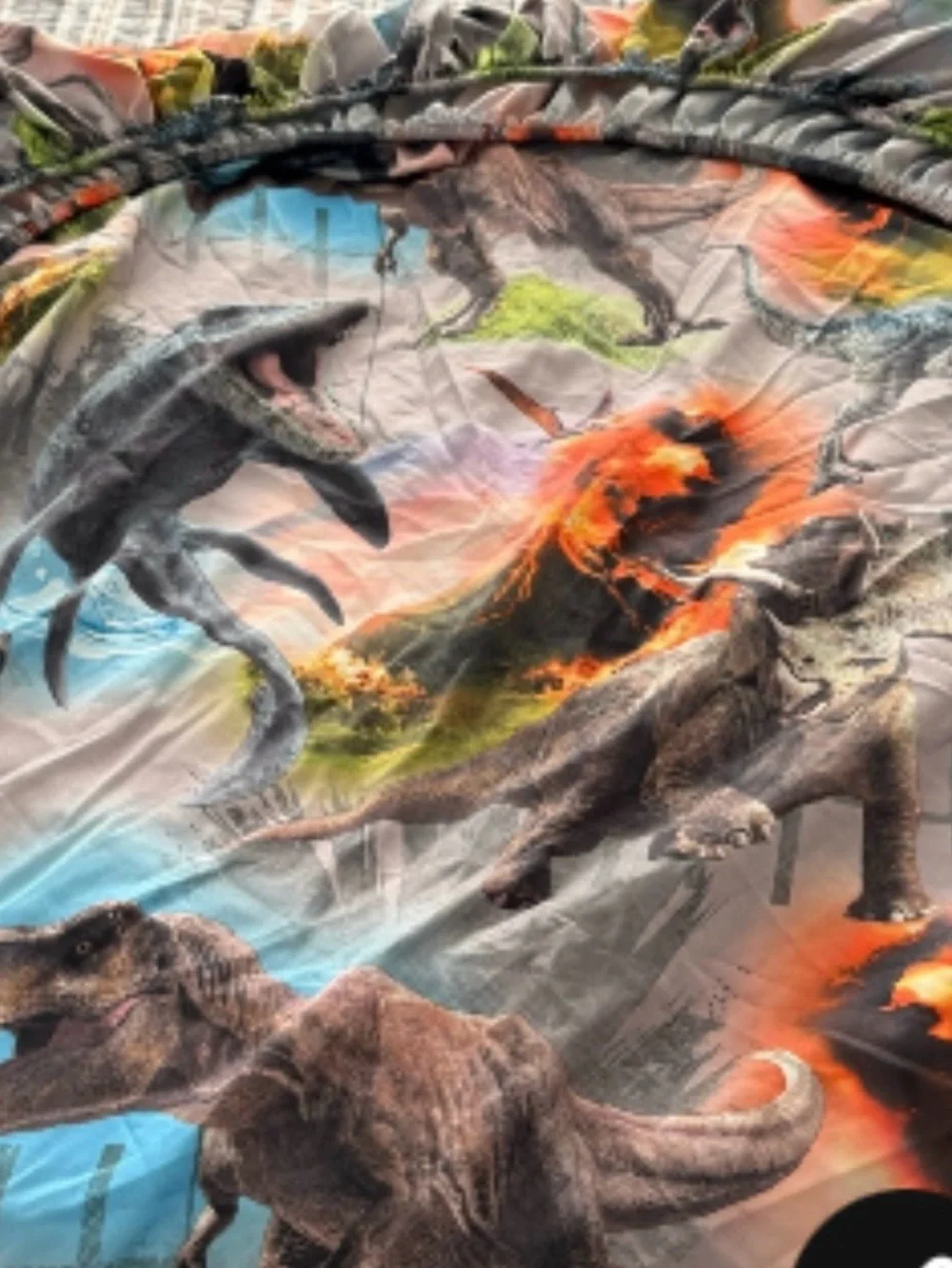 Jurassic Dinosaur Comforter in Brown and Multicolor